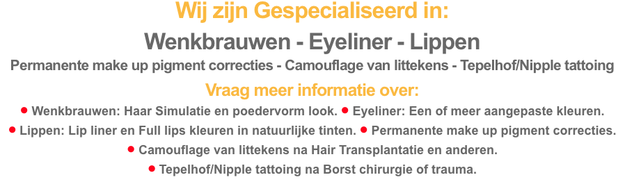 Wij zijn Gespecialiseerd in:  Wenkbrauwen - Eyeliner - Lippen P